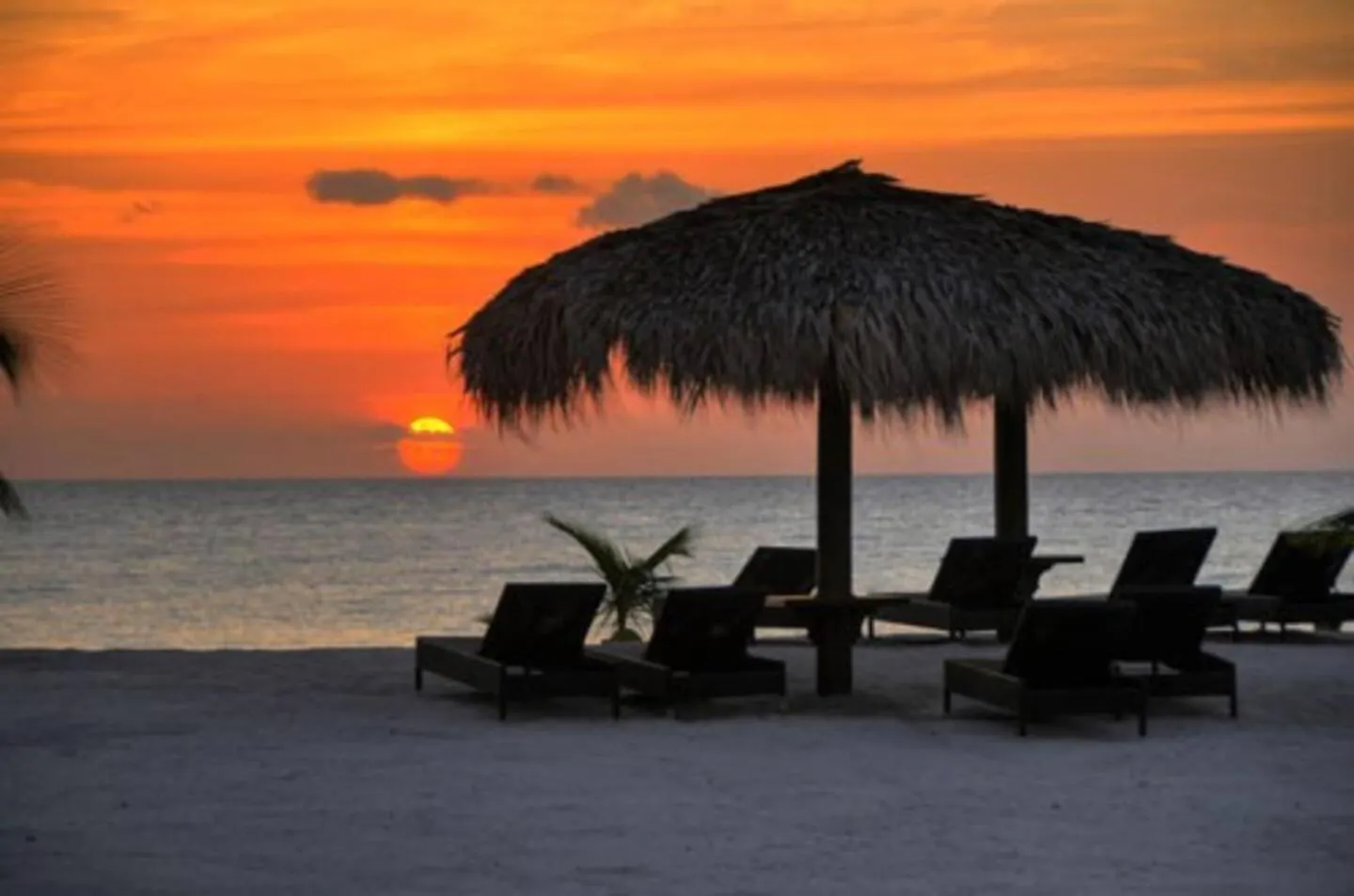 2Br Beachfront Cadaques Caribe Bayahibe Apartament