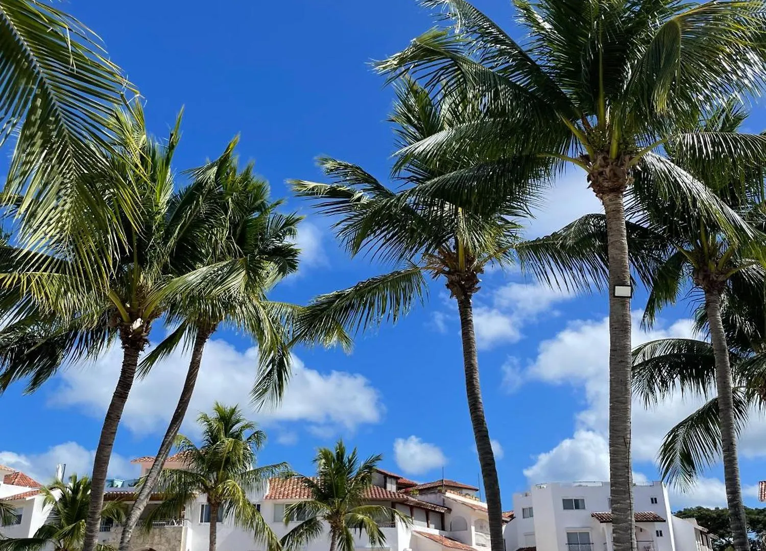 2Br Beachfront Cadaques Caribe Bayahibe Dominikana
